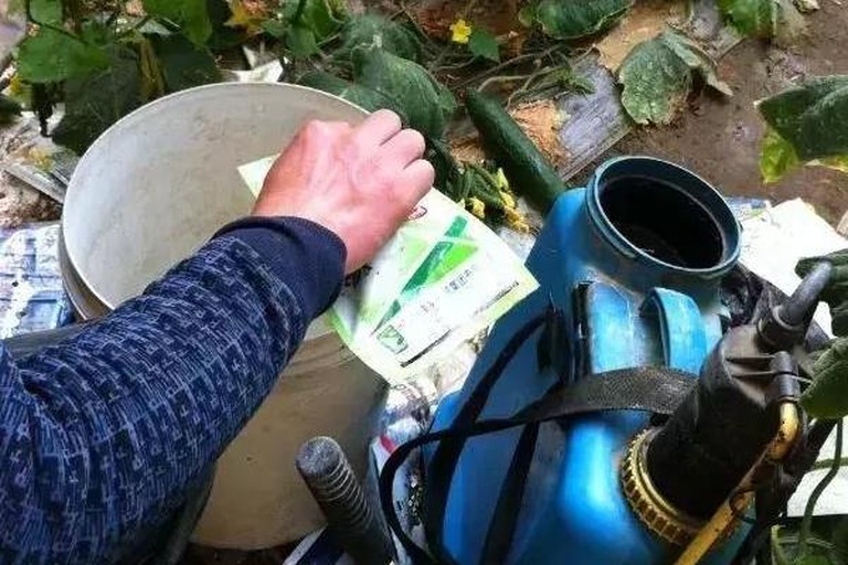 一名农户身穿防护服,手持电动喷雾器正在对黄瓜叶片进行叶面喷药作业,药液呈细雾状均匀覆盖叶片,背景为连片种植的黄瓜田,部分叶片显示病斑特征 黄瓜褐斑病化学防治喷药现场