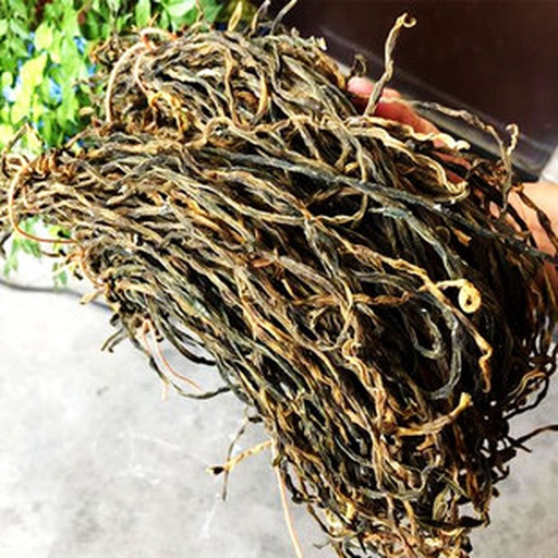 对比图：左侧为新鲜嫩豆（直径4mm，青绿饱满），右侧为过熟豆粒（直径9mm，浅黄硬实），中间标注显微结构差异：嫩豆细胞壁薄、液泡大、淀粉粒少；过熟豆细胞壁加厚、淀粉粒密集充盈