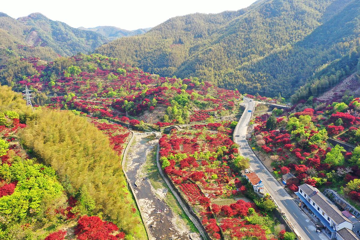 红枫古道秋景