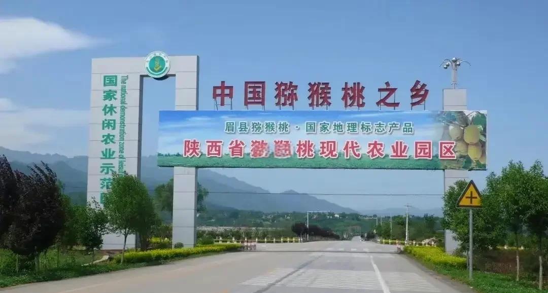 意大利猕猴桃主产区地图示意