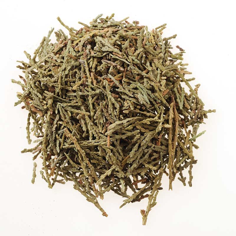 侧柏叶入药应用场景