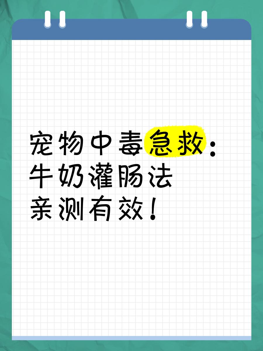 兽医现场处置骆驼酸中毒场景：穿防护服的技术员正通过胃管向卧地骆驼注入淡黄色碳酸氢钠溶液，旁边助手手持秒表计时，地面放置已开封的骆驼专用益生菌粉剂与冷链运输箱（箱体印有'骆驼源益生菌CML-2021株'及农业农村部新饲证字标识）