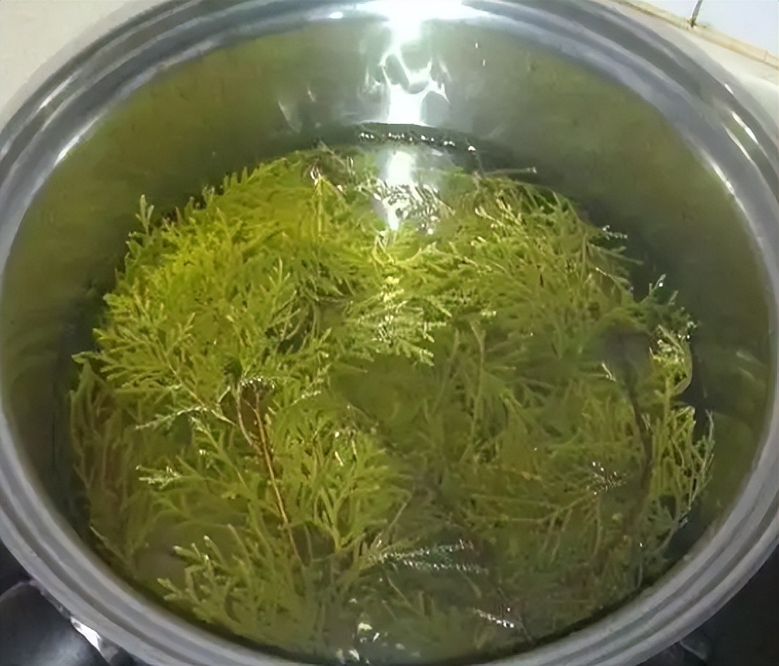 焯水过程示意图