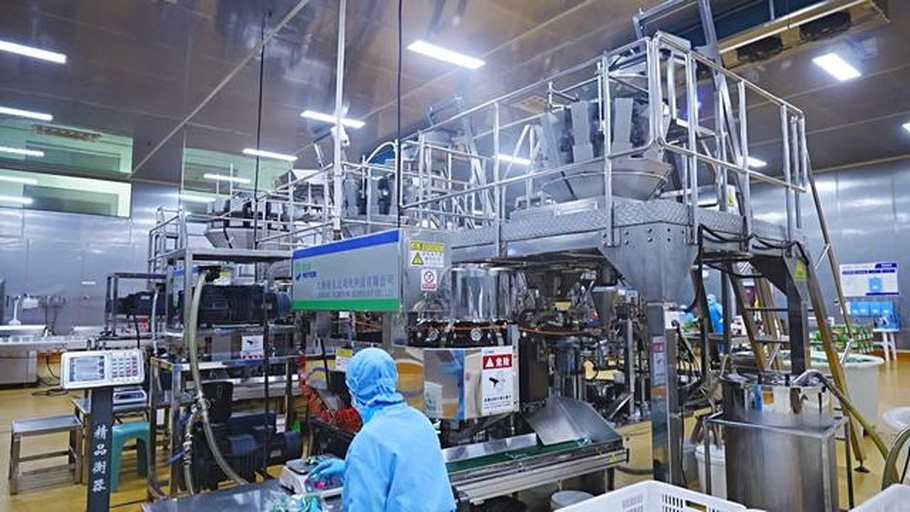 现代化南瓜加工车间内景:不锈钢传送带运送切块南瓜进入蒸煮设备,工人身穿白色工作服操作控制面板,背景可见真空包装机与成品堆放区,墙上标有‘HACCP食品安全认证’字样 南瓜深加工生产线场景