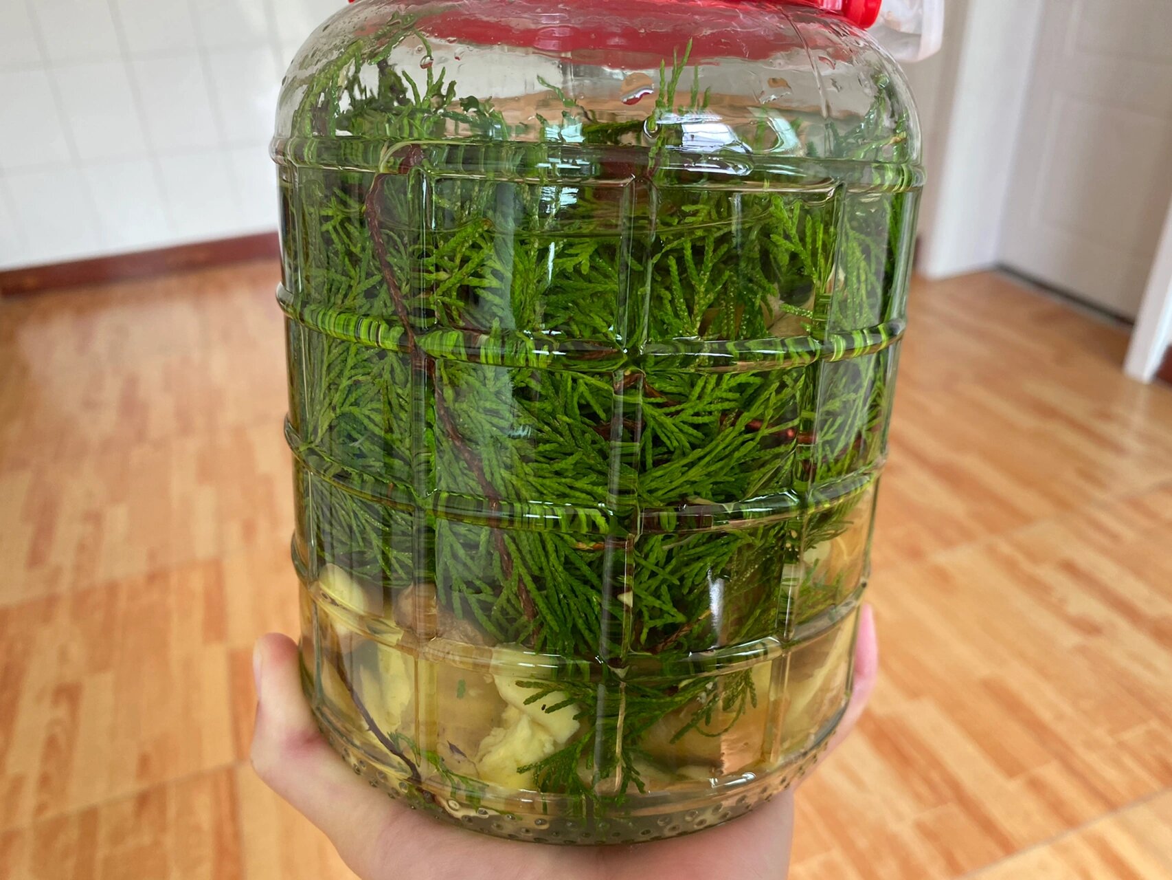 侧柏叶酊剂制作过程