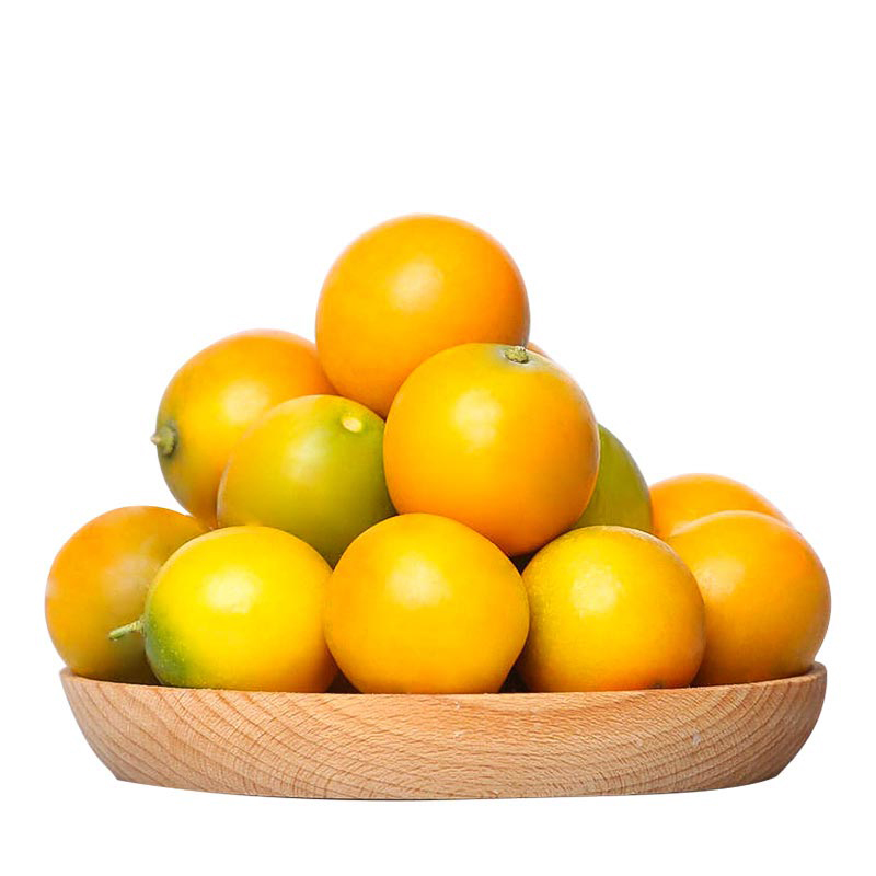 一只毛色金黄的金丝熊坐在木质垫料上,前爪轻触放置于陶瓷食盆中的淡黄色枇杷果肉块,背景为标准透明塑料宠物笼,配有跑轮和饮水器 金丝熊在笼舍中嗅闻小块枇杷果肉