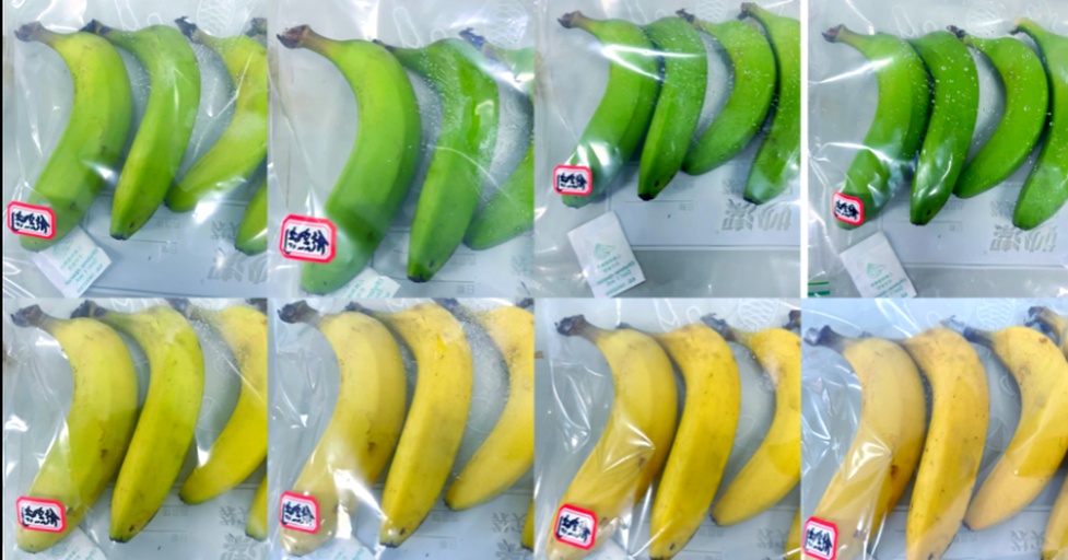 家庭香蕉催熟实操示意图