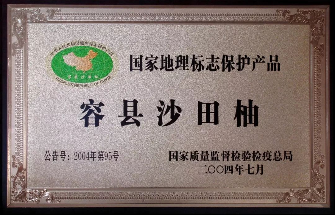 沙田柚产品展销会现场