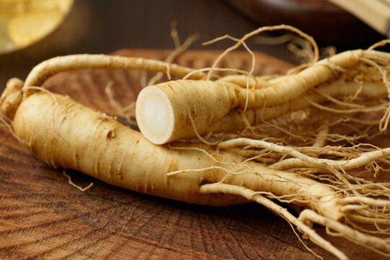 显微镜下的人参须横切面与纵切面示意图,展示其皮层、韧皮部、木质部结构,以及密集分布的树脂道,标注了主要皂苷合成区域 人参须结构解剖图