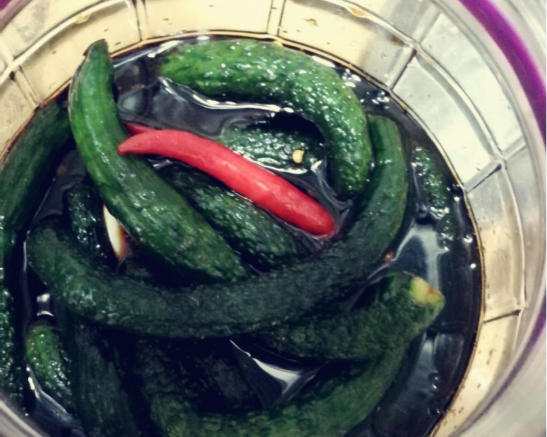 传统陶坛腌制旱黄瓜过程图