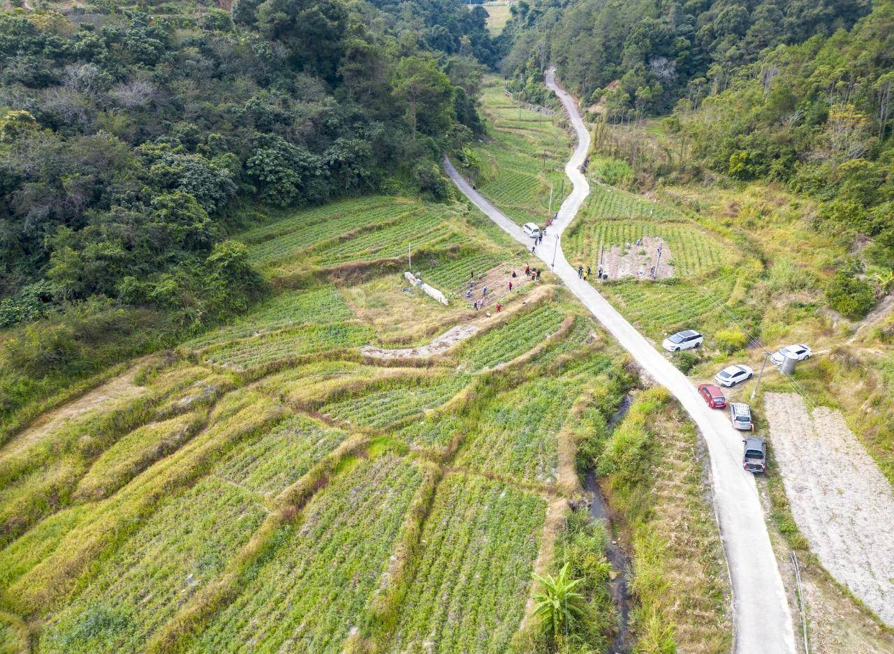野三坡山区梯田中的谷子种植场景