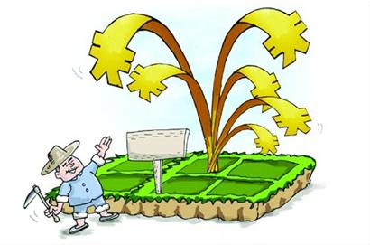 一亩田农业资讯网-浙江提高农险标准 大棚蔬菜