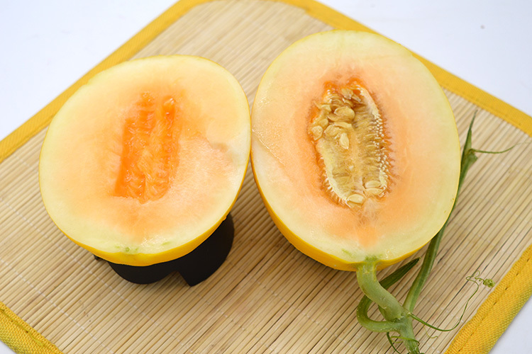 久红瑞甜瓜陕西西安阎良区_批发_供应-一亩田