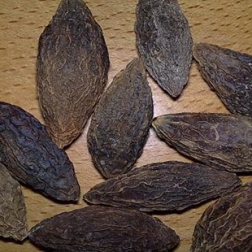 橄榄干