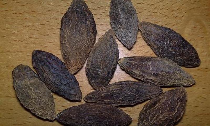 橄榄干