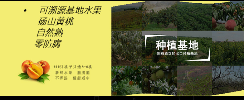 黄桃罐头