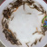 供应泥鳅苗，台湾泥鳅苗