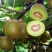 红心猕猴桃80~100克