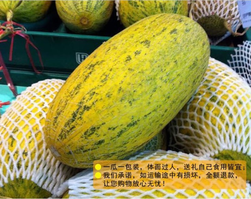 黄86哈密瓜3斤以上椭圆形