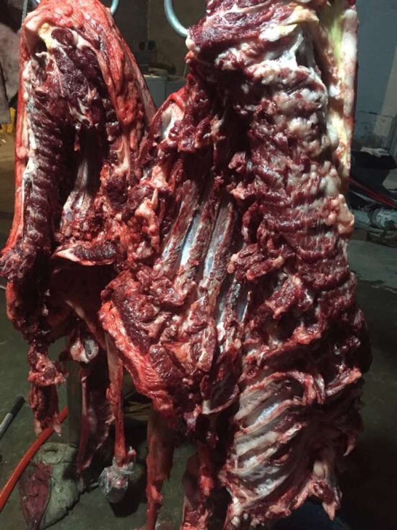 驴肉鲜货