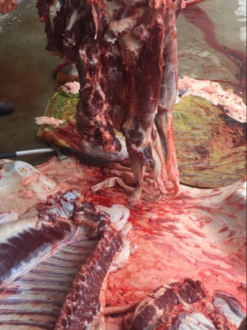 驴肉鲜货
