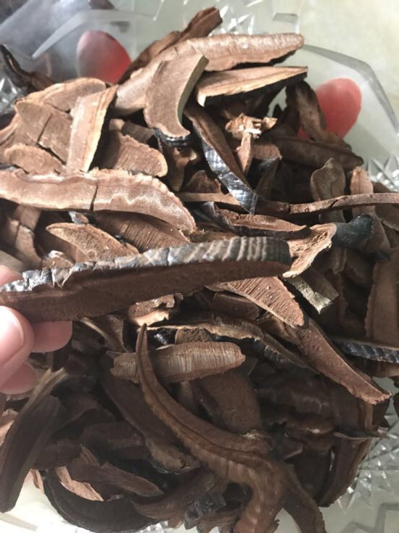 灵芝切片15~18公分