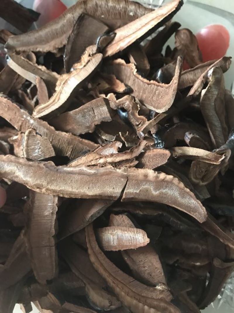 灵芝切片15~18公分