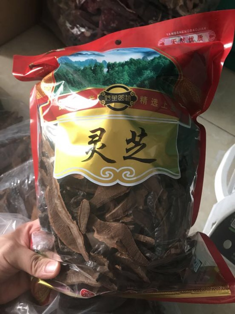 灵芝切片15~18公分