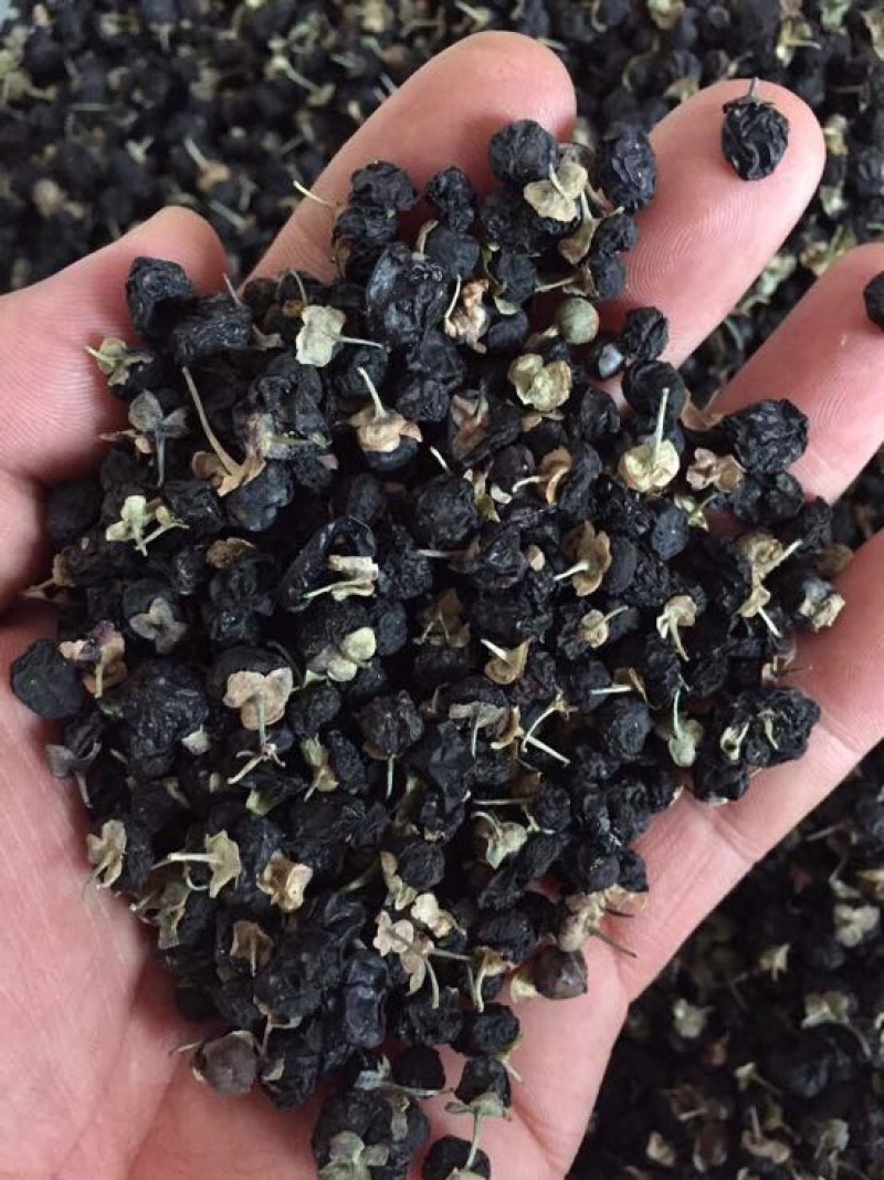 黑枸杞干货头茬