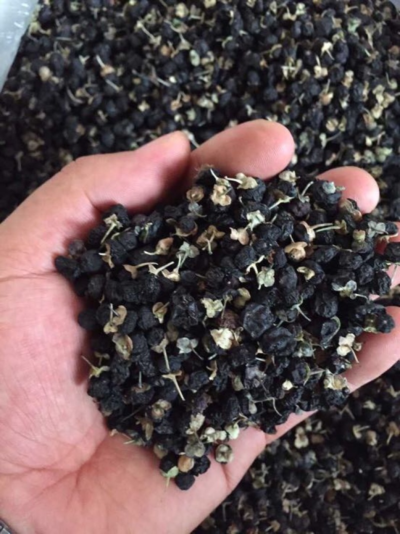 黑枸杞干货头茬