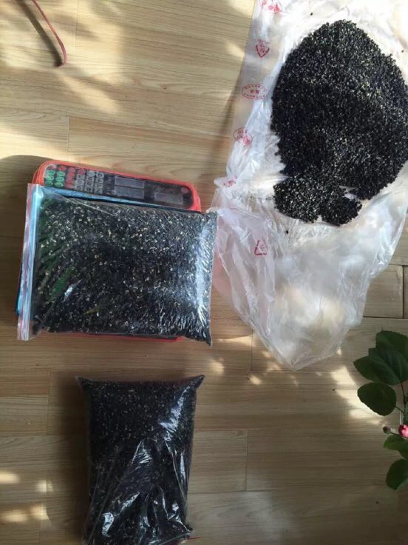 黑枸杞干货头茬
