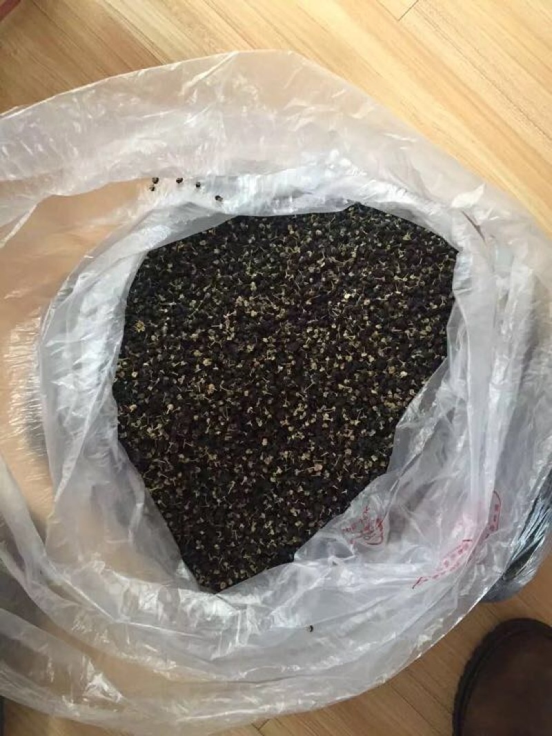 黑枸杞干货头茬