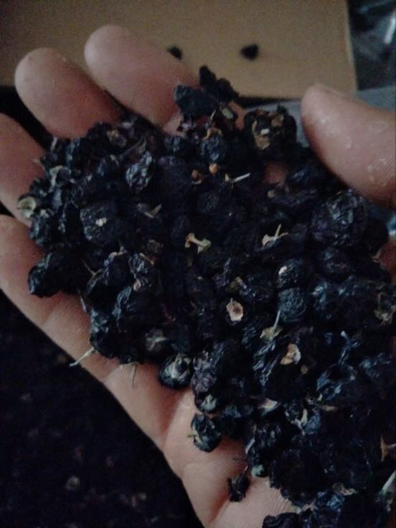 黑枸杞干货头茬