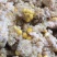 羊饲料18个月