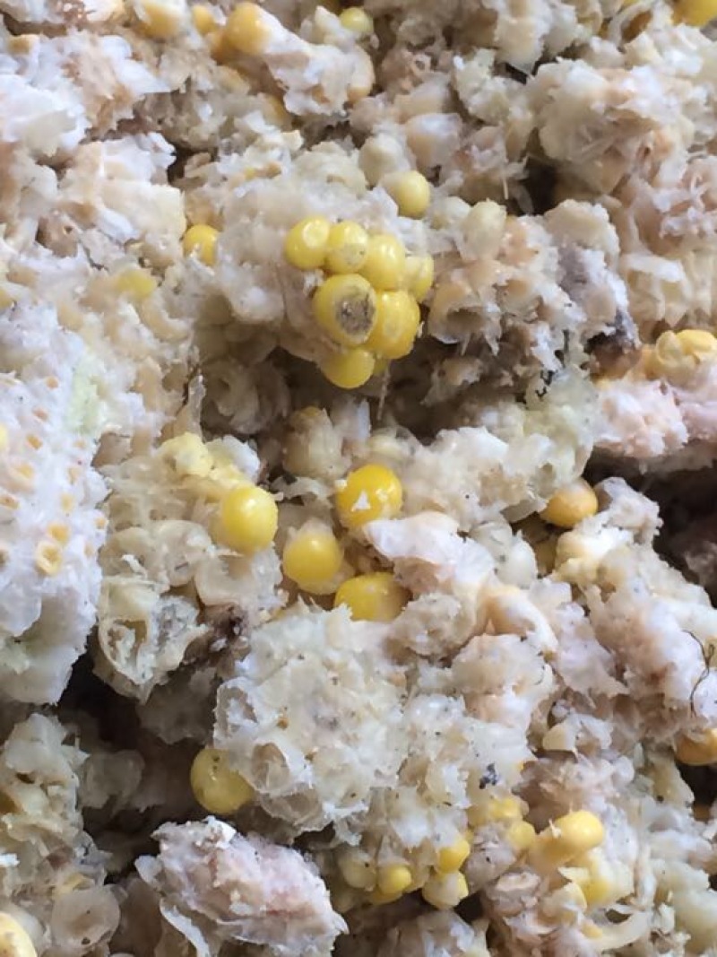 羊饲料18个月