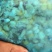 羊饲料18个月