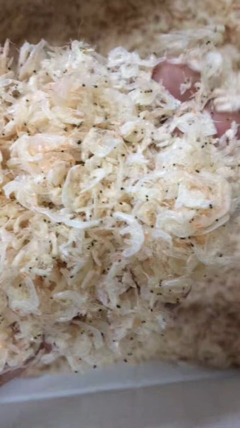 虾皮特级