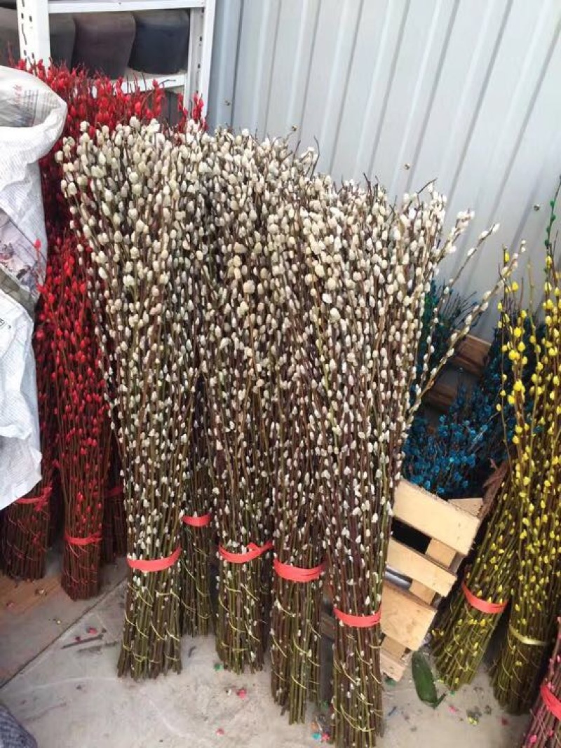 银柳七彩柳干花1把100支9个颜色随机搭配