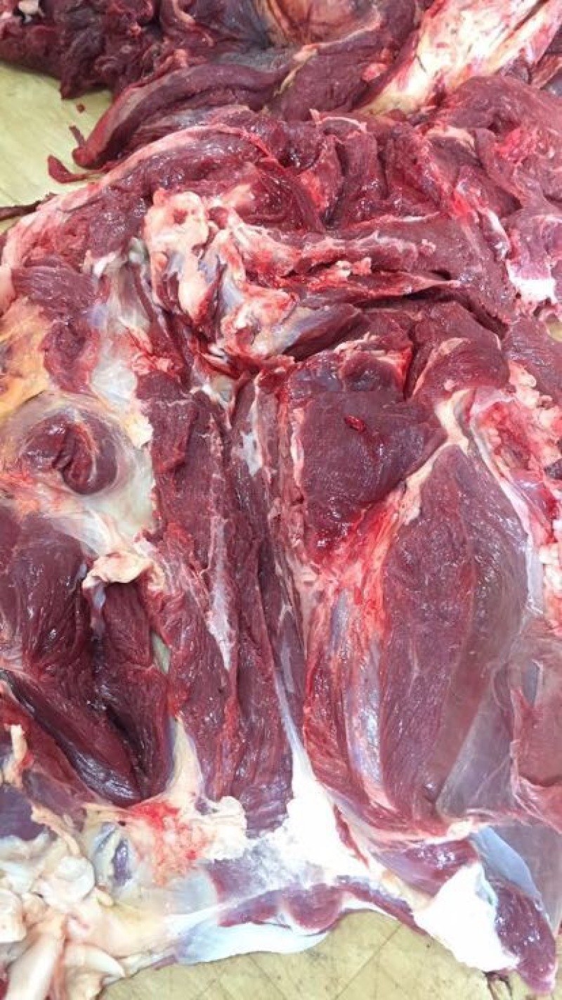 马肉蒙古国草地马肉精修剔骨四分体五分体质量保证