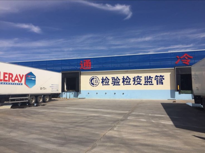 马肉蒙古国草地马肉精修剔骨四分体五分体质量保证