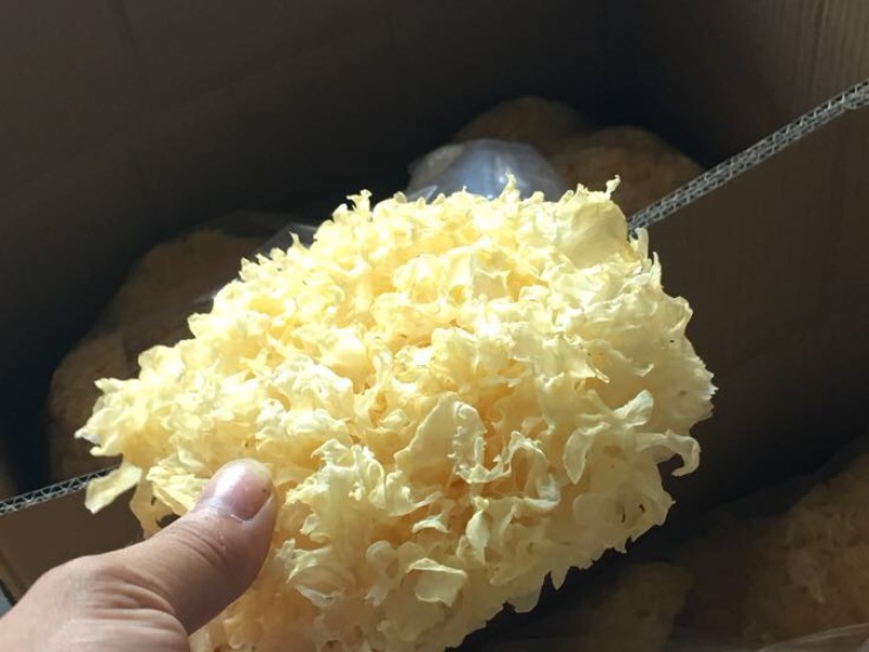 银耳一级一件代发专拍