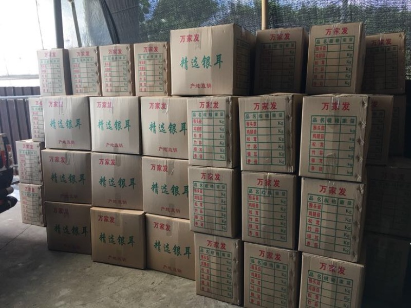 银耳一级一件代发专拍