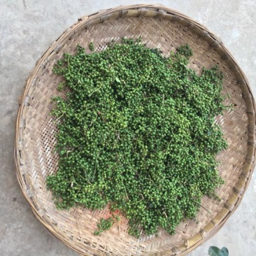 青花椒特级鲜