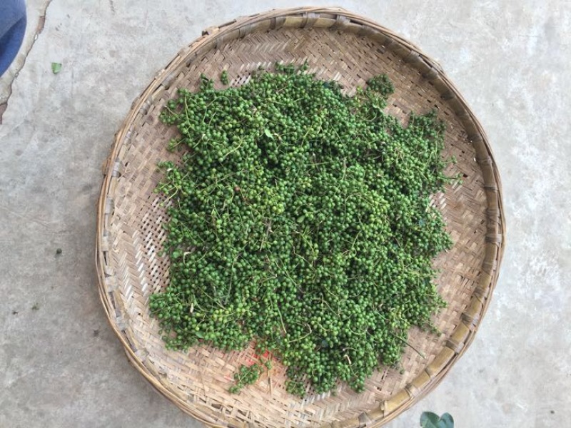 青花椒特级鲜