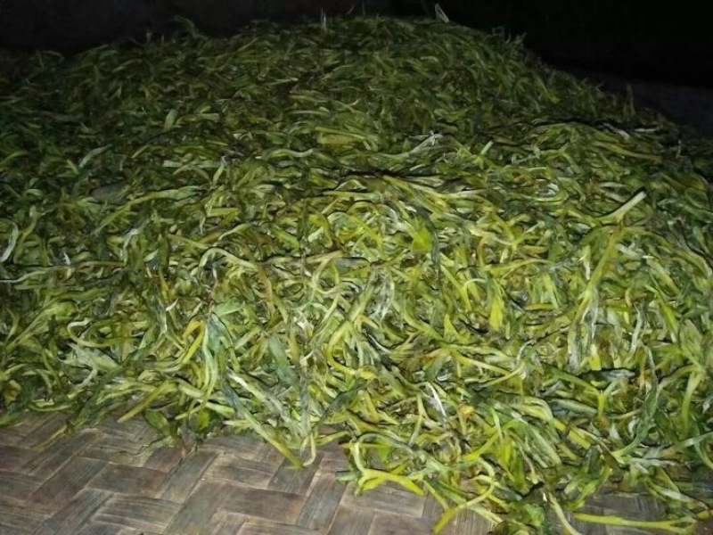 普洱茶特级