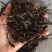 百年大树茶二级