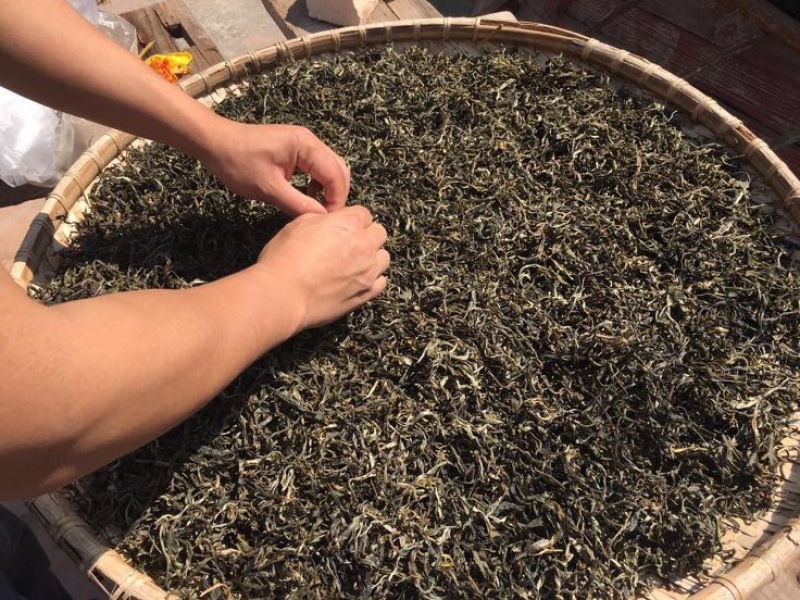 百年大树茶二级