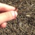 百年大树茶二级