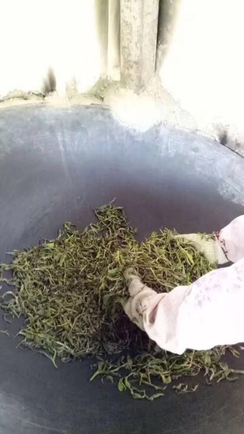 百年大树茶二级