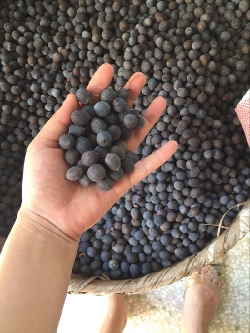 莲子壳